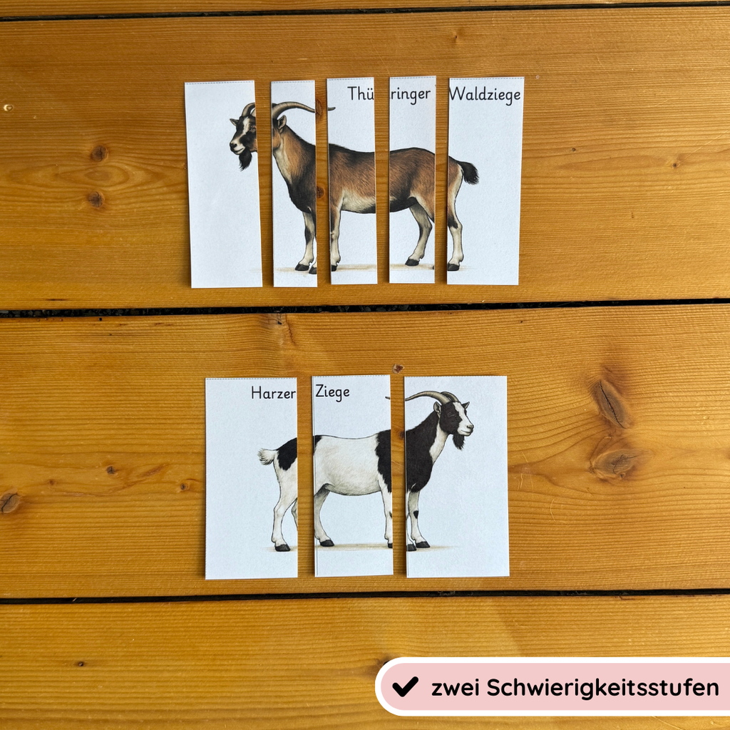 Streifenpuzzle Ziegenrassen