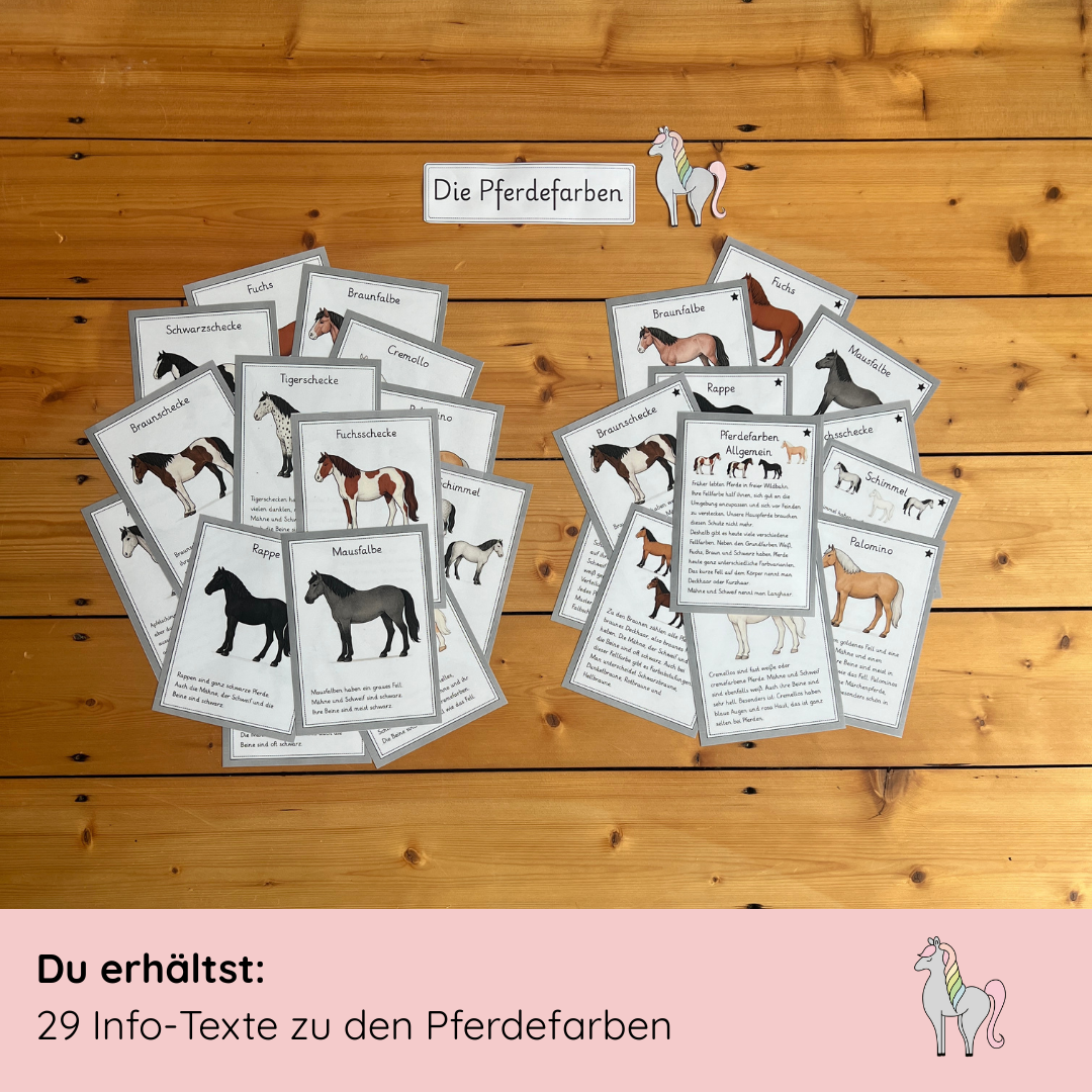 kindgerechte Infotexte Pferdefarben