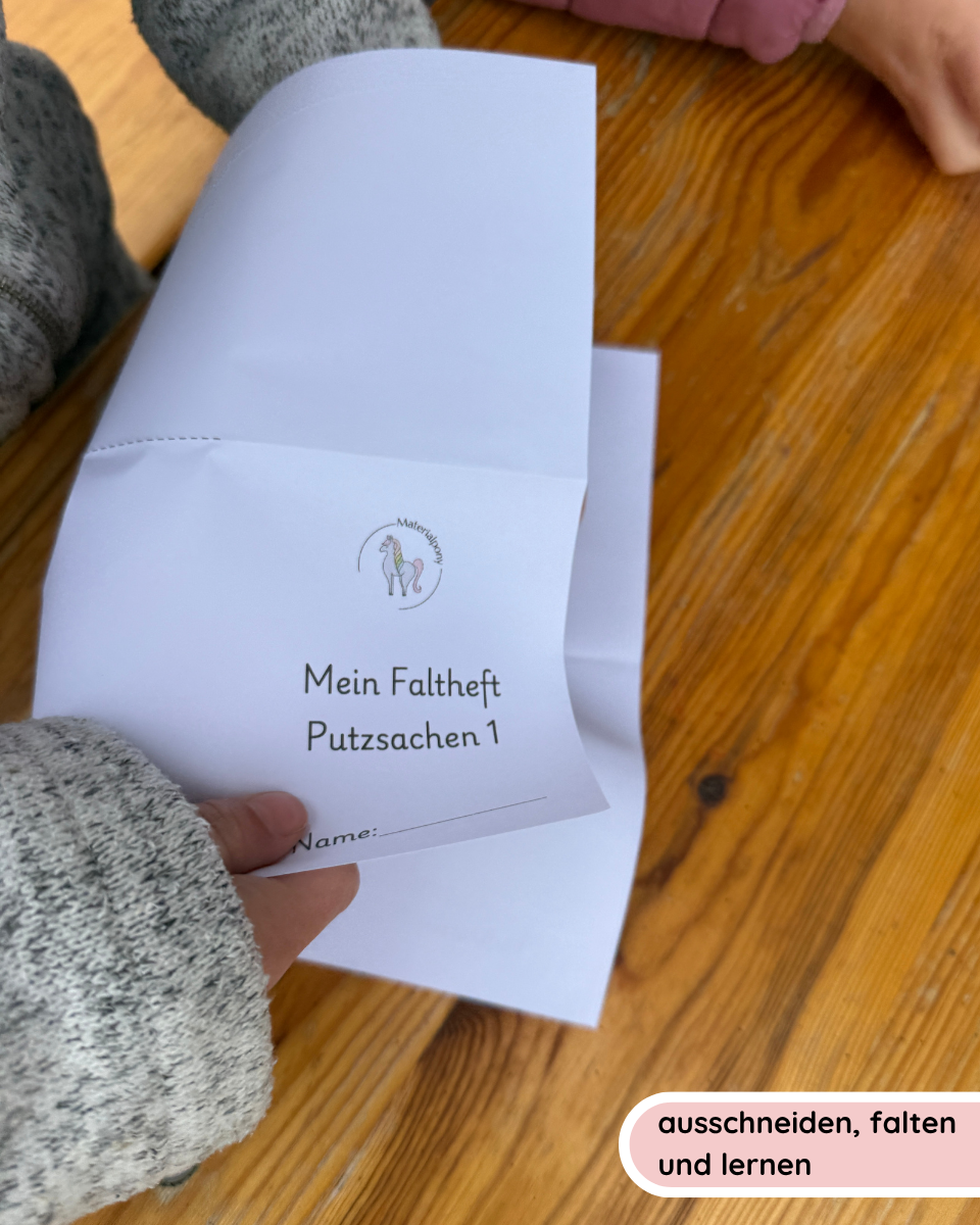 Foldable booklets: Horse care