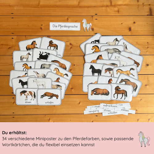 Miniposter Pferdesprache