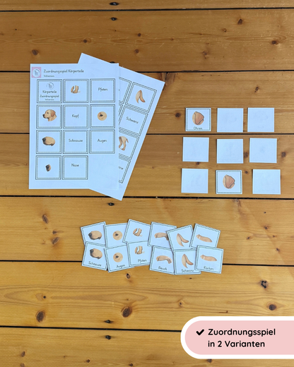 Zuordnungsspiel Körperbau Hund | Körperteile spielerisch lernen