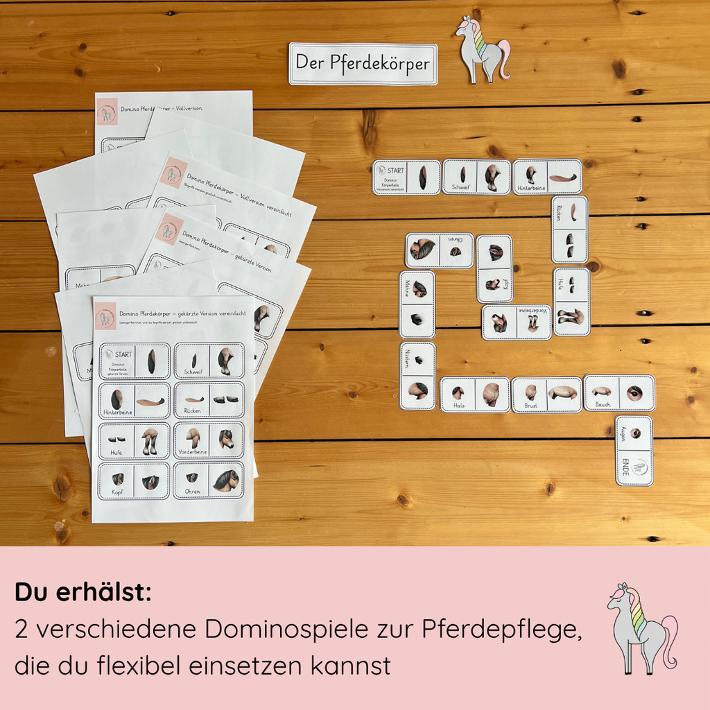 Lerndomino Pferdekörper 2