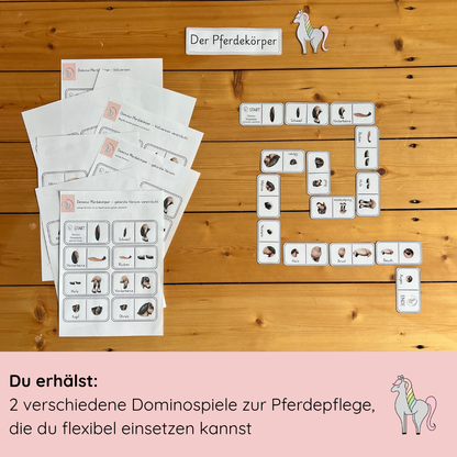 Learning Domino Horse Body 2