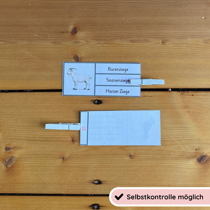 Clothespin Cards Goat Breeds