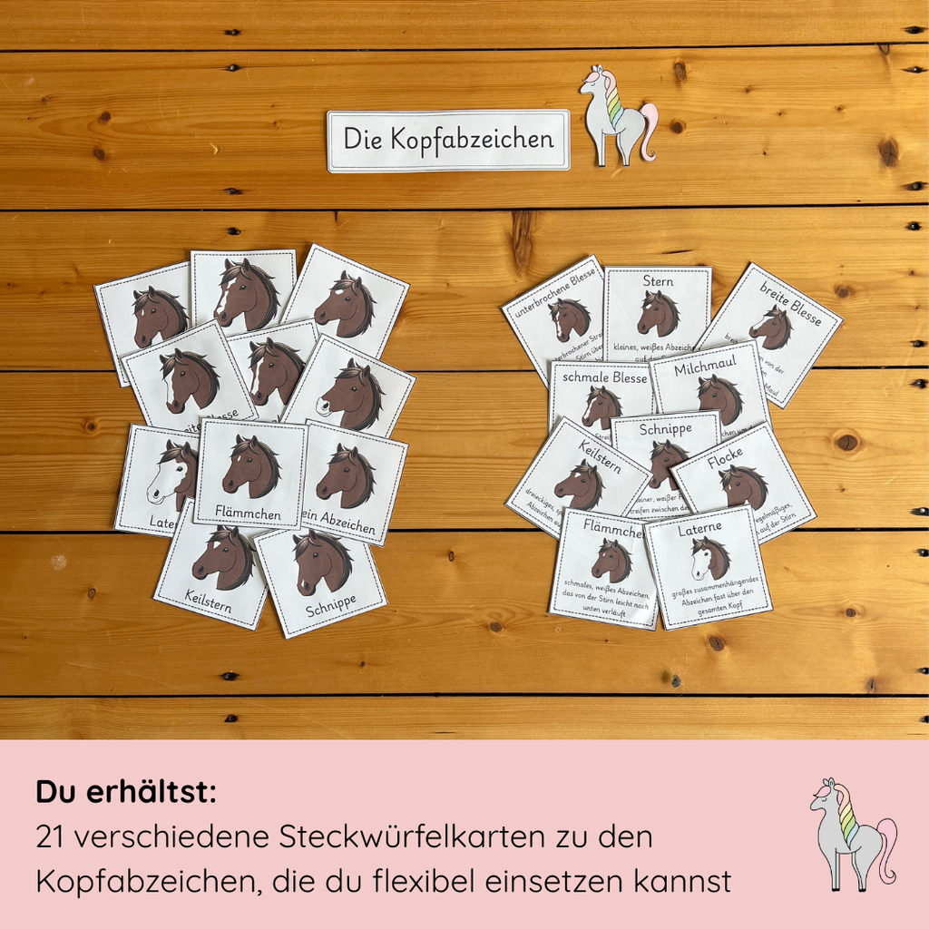 Steckwürfelkarten Kopfabzeichen