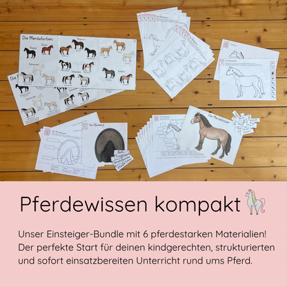 Material Pony Starter Pack