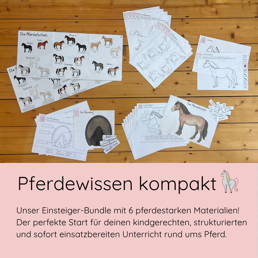 Materialpony Starterpaket