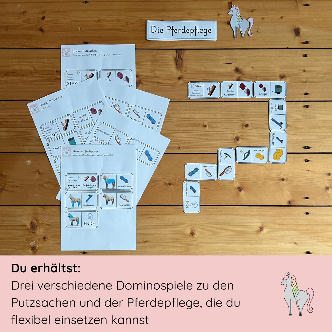 Lerndominos Pferdepflege