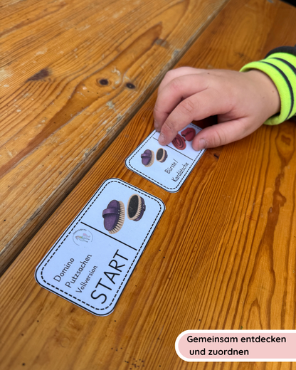Learning Dominoes: Horse Care