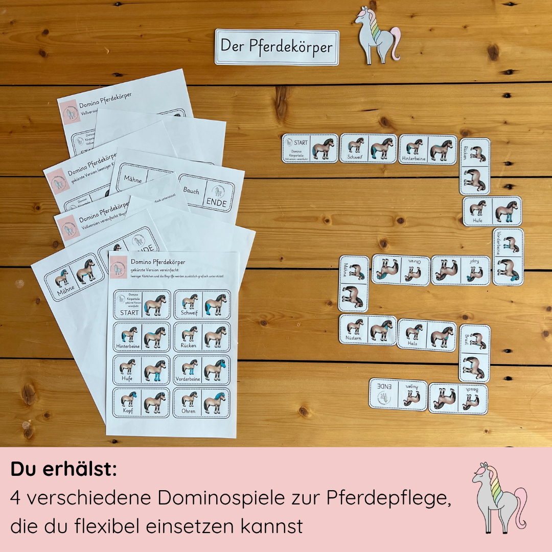 Lerndomino Pferdekörper 1