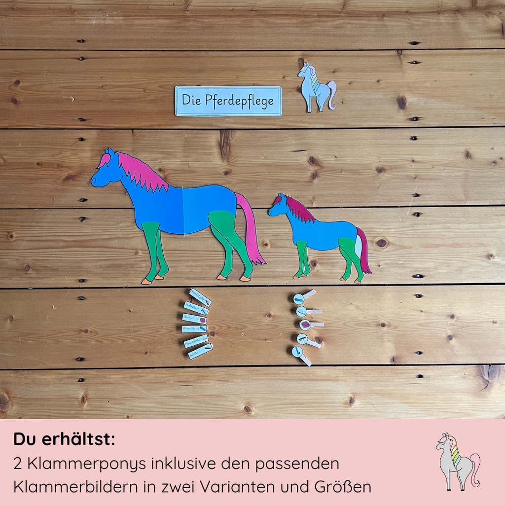 Klammerpony Pferdepflege