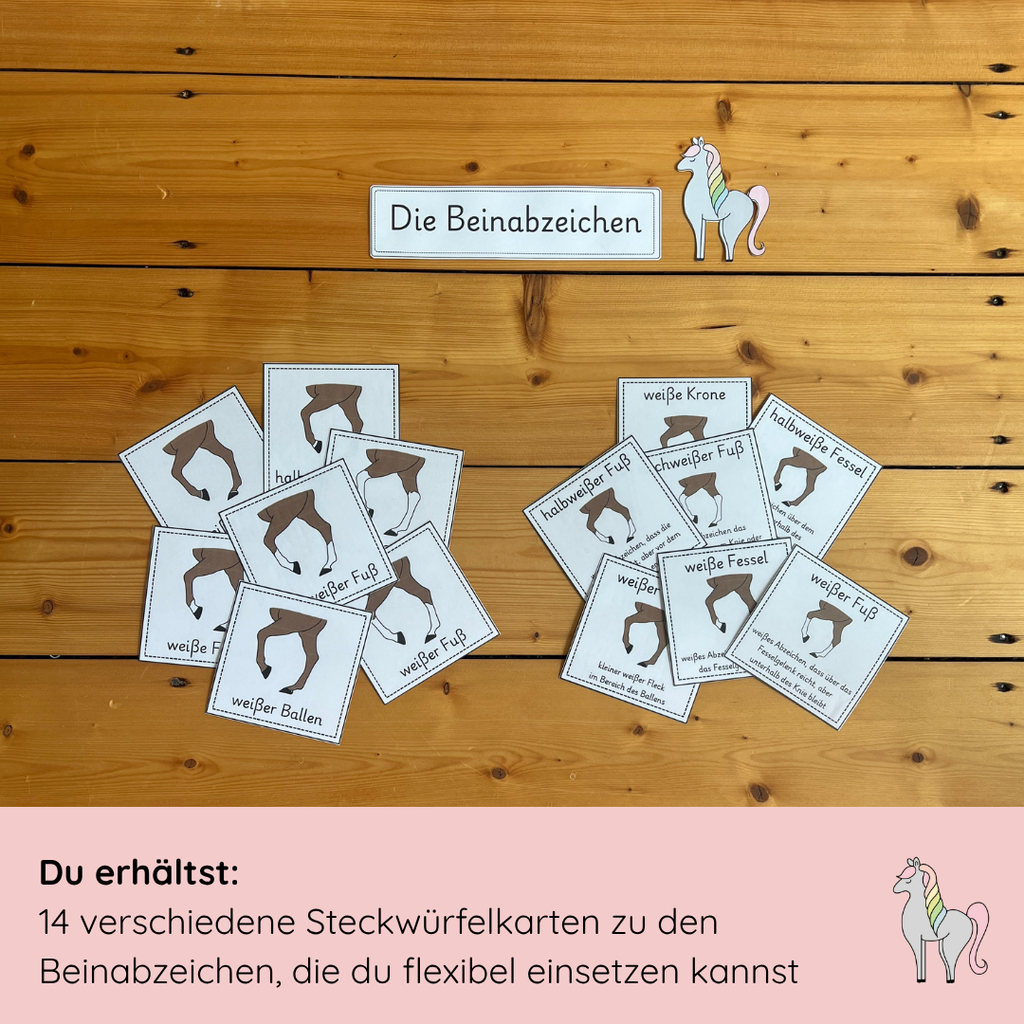 Steckwürfelkarten Beinabzeichen