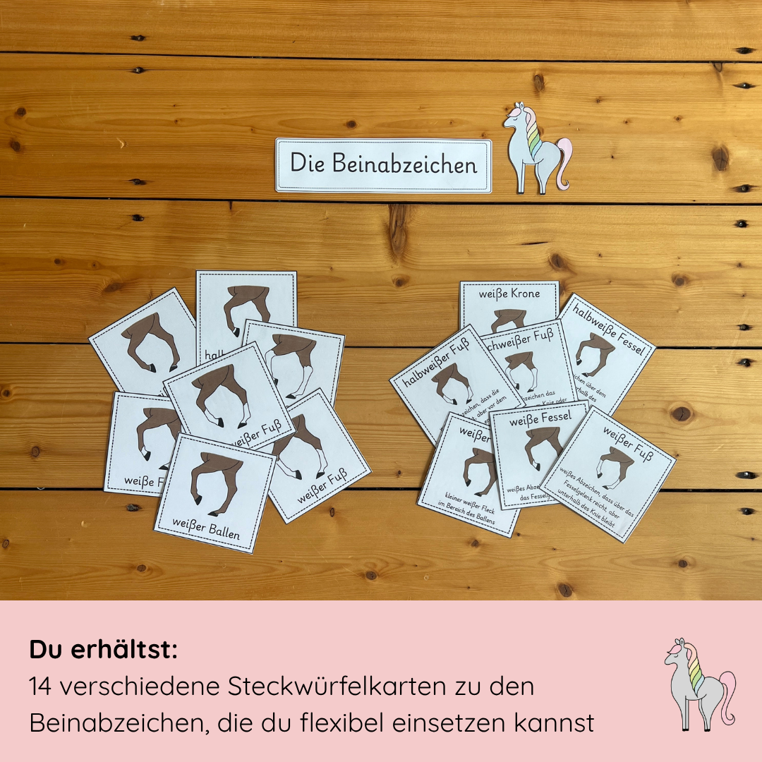 Steckwürfelkarten Beinabzeichen