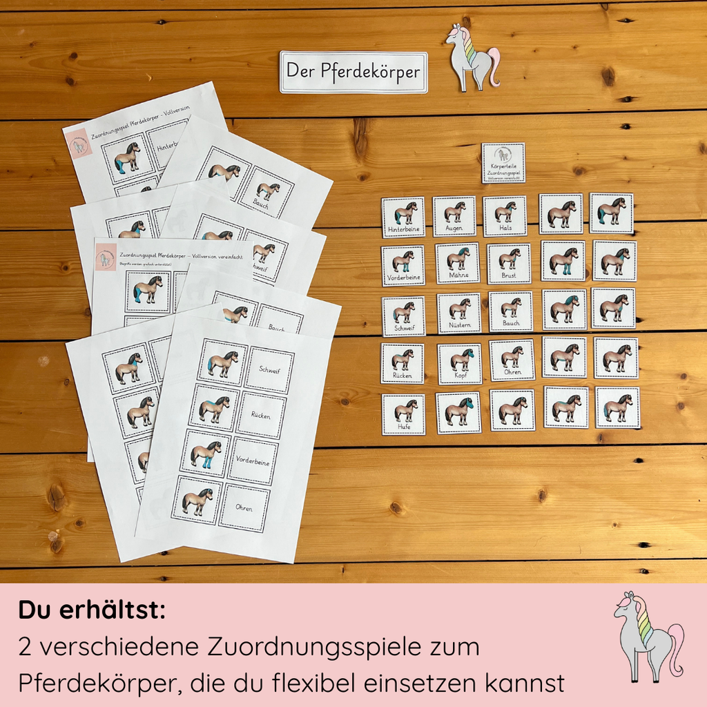 Zuordnungsspiele Pferdekörper