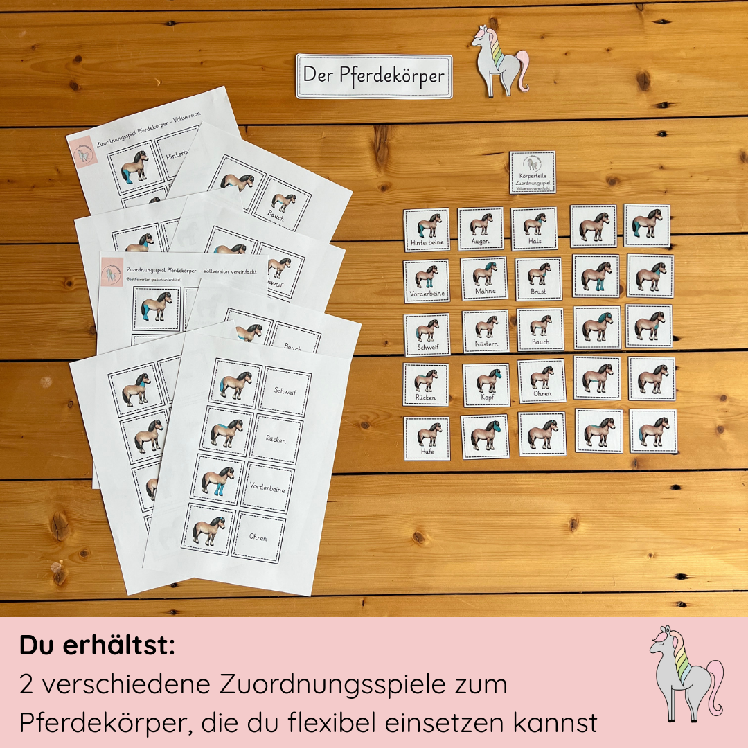 Zuordnungsspiele Pferdekörper