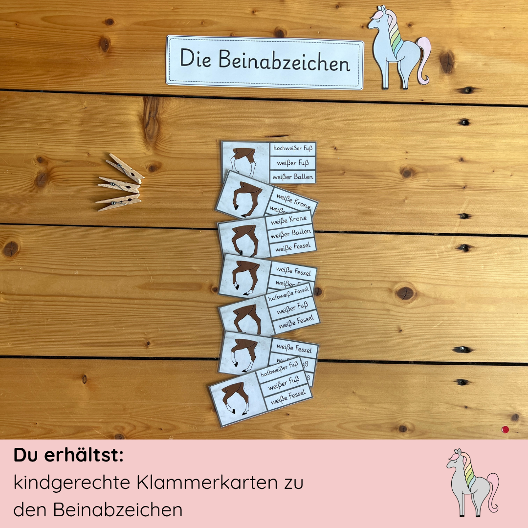 Klammerkarten Beinabzeichen