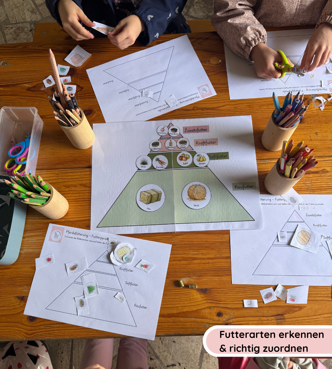 KIndgerechtes Legematerial & Arbeitsblätter - Die Futterpyramide verstehen und sicher anwenden