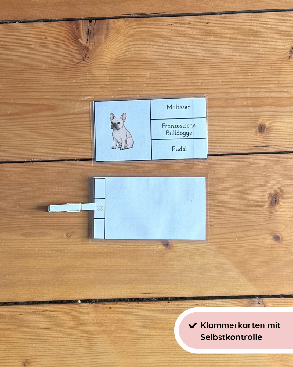 Klammerkarten Hunderassen | Hunderassen erkennen & zuordnen
