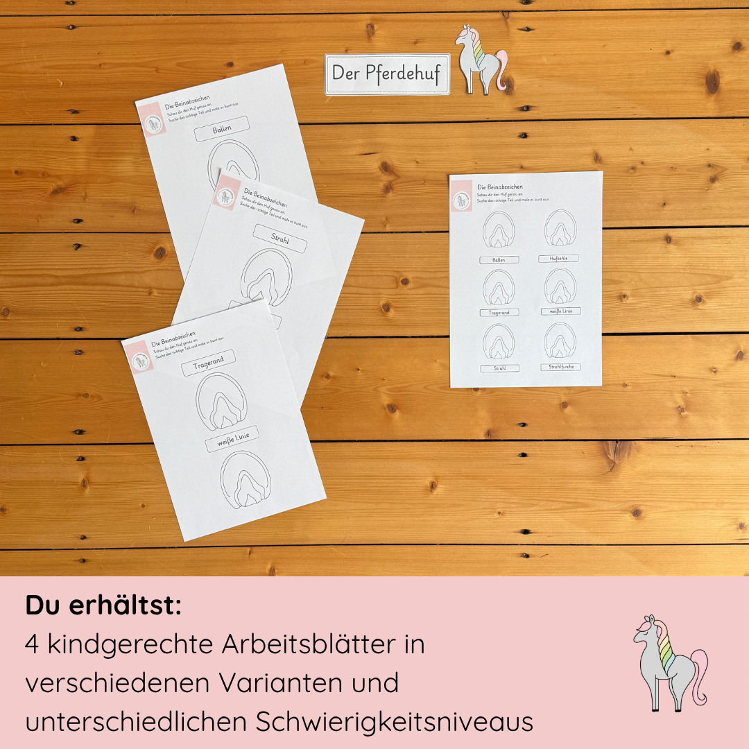 kindgerechte Arbeitsblätter Pferdehuf