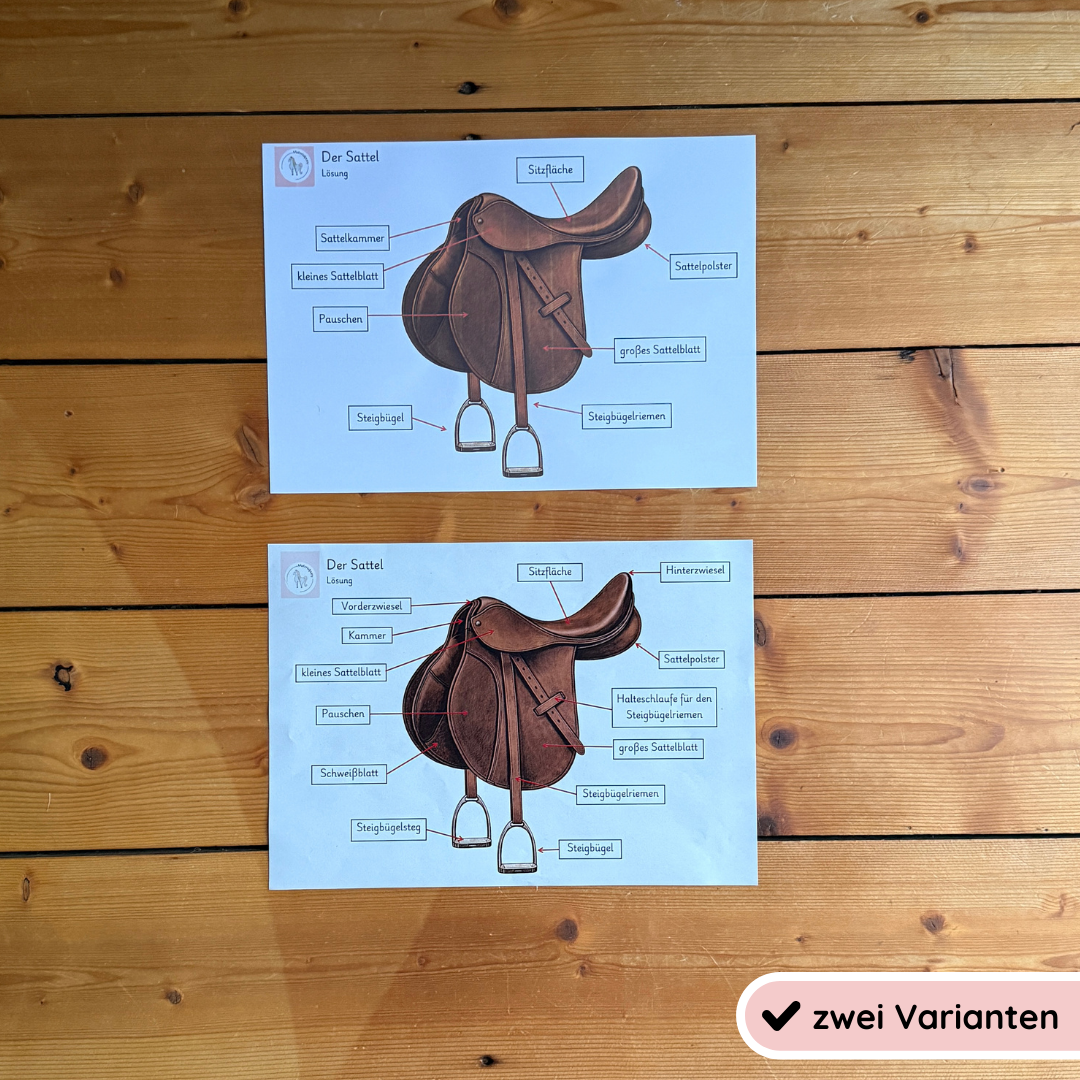 kindgerechte Arbeitsblätter und Lehr- und Lernposter Sattel