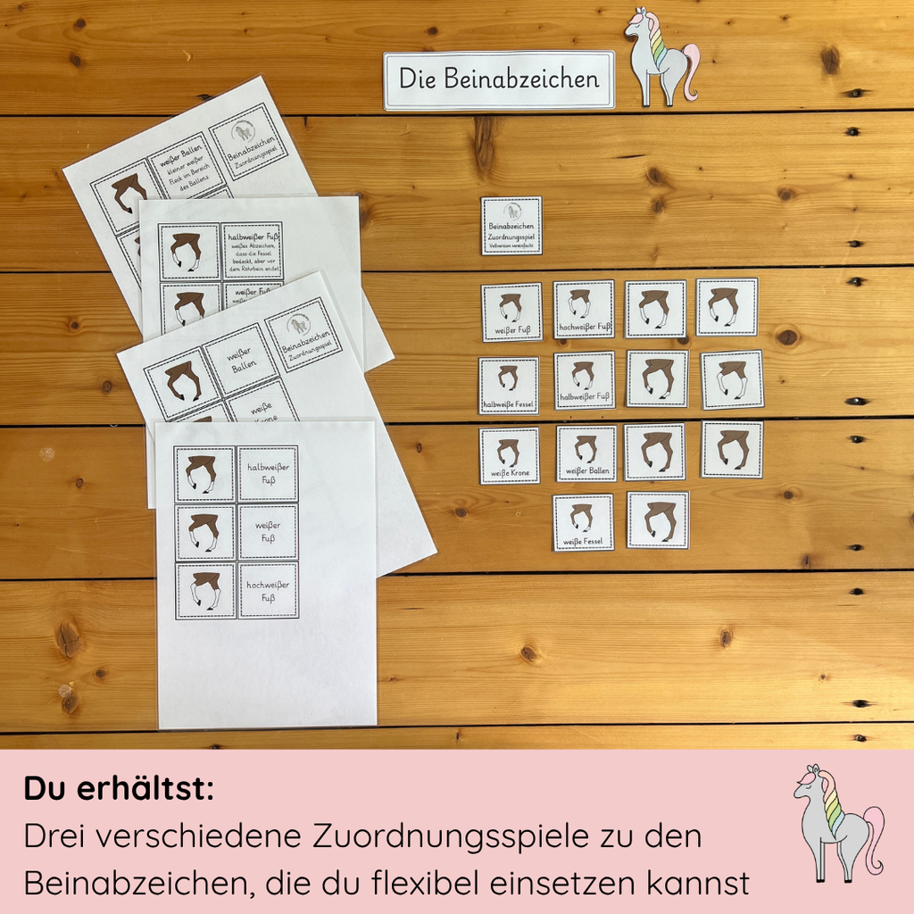 Zuordnungsspiele Beinabzeichen