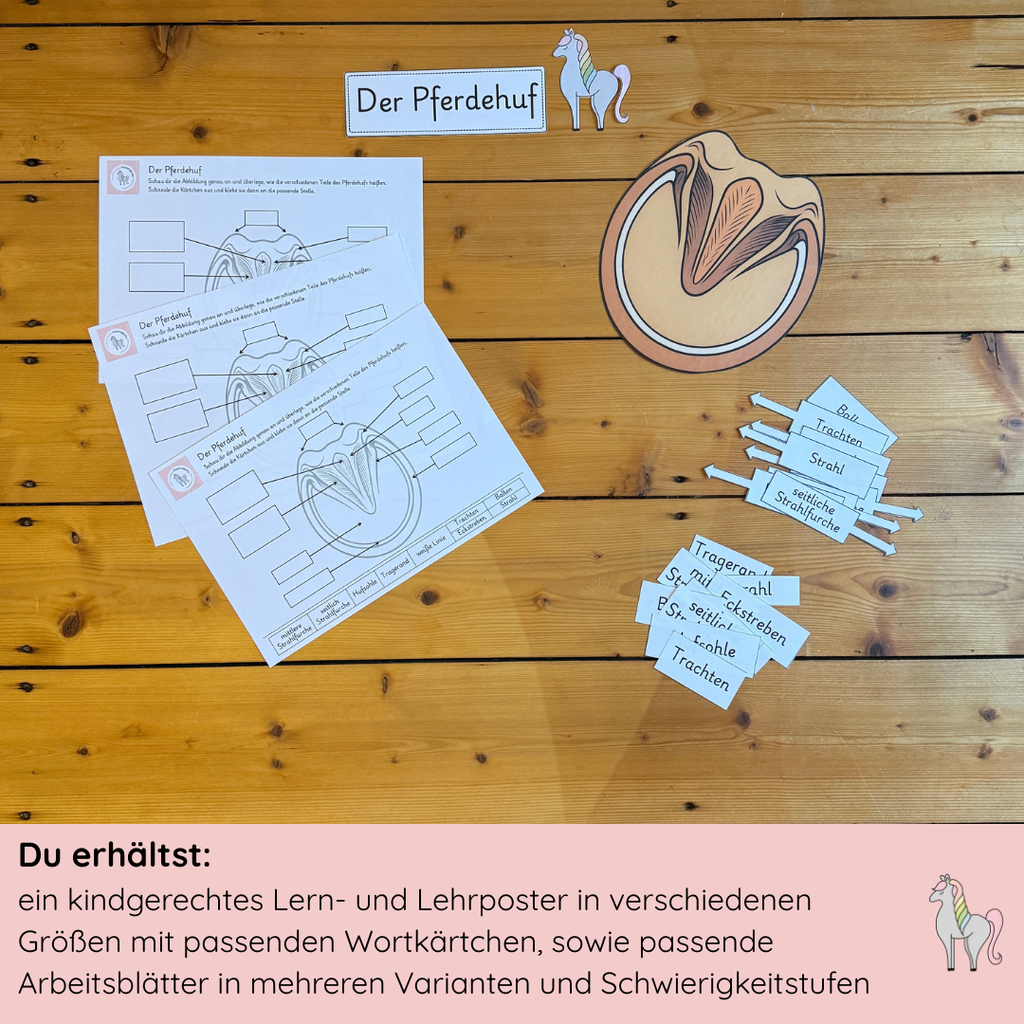 kindgerechte Arbeitsblätter und Lehr- und Lernposter Pferdehuf