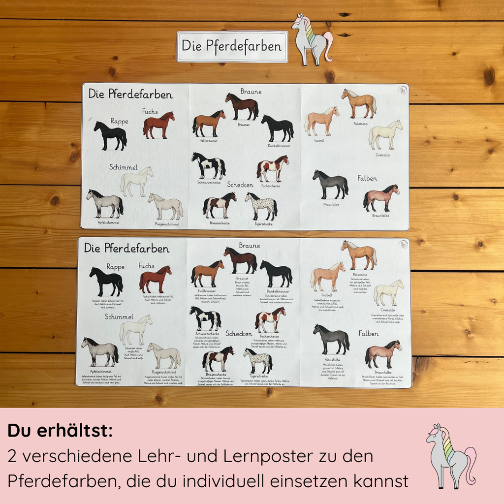 Lehrposter Pferdefarben