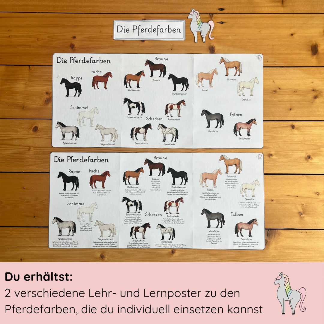 Lehrposter Pferdefarben