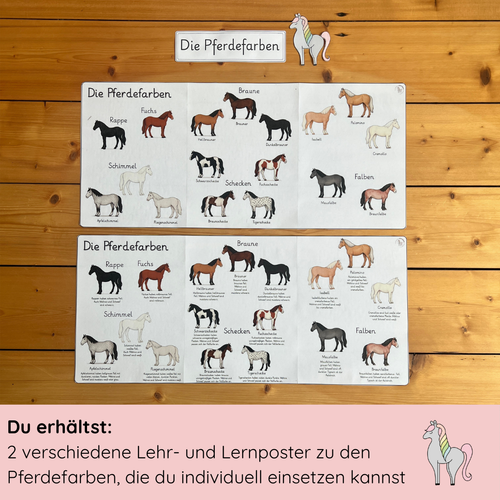 Lehrposter Pferdefarben