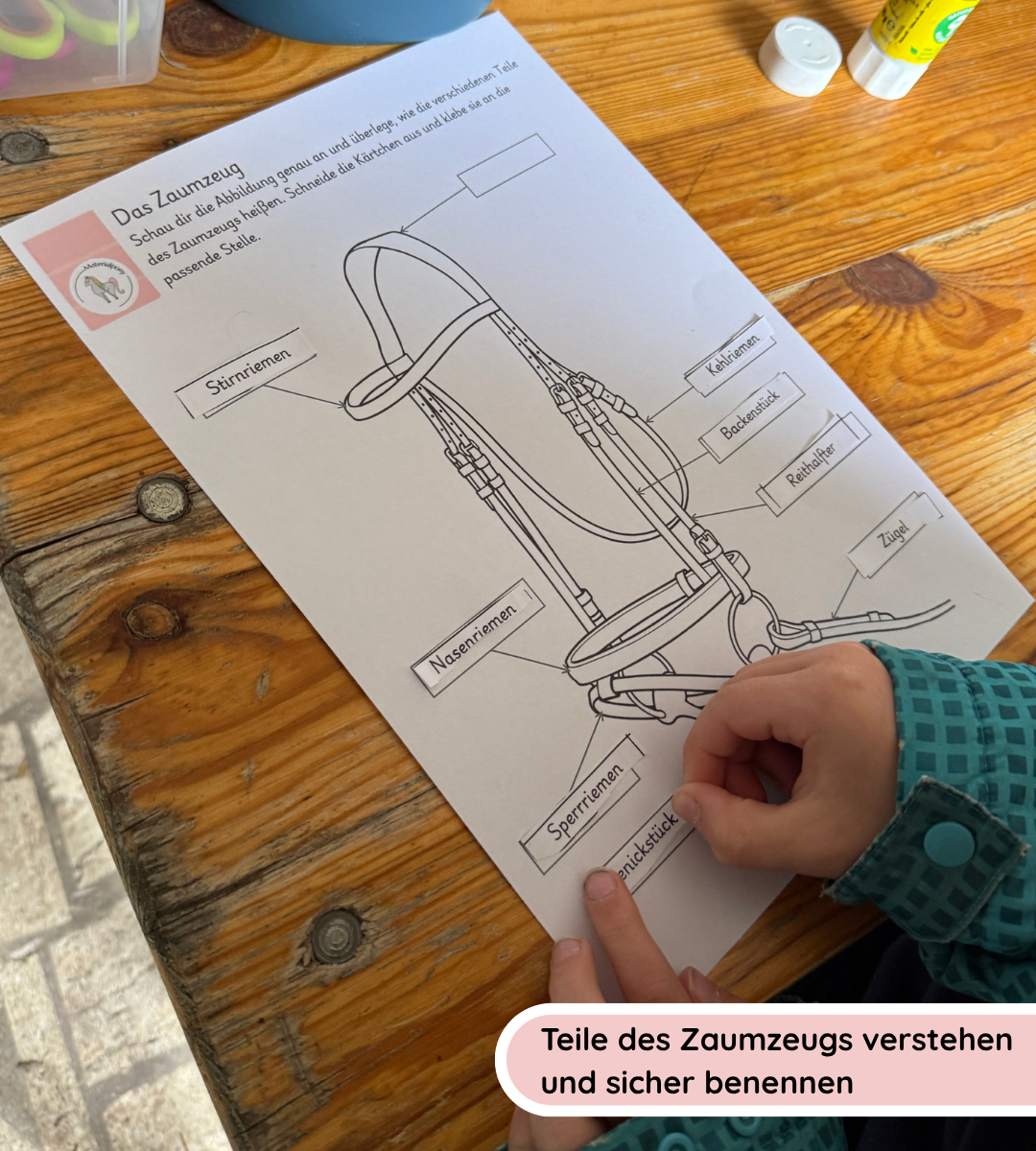 Kindgerechte Arbeitsblätter & Lernposter – Zaumzeug einfach erklärt