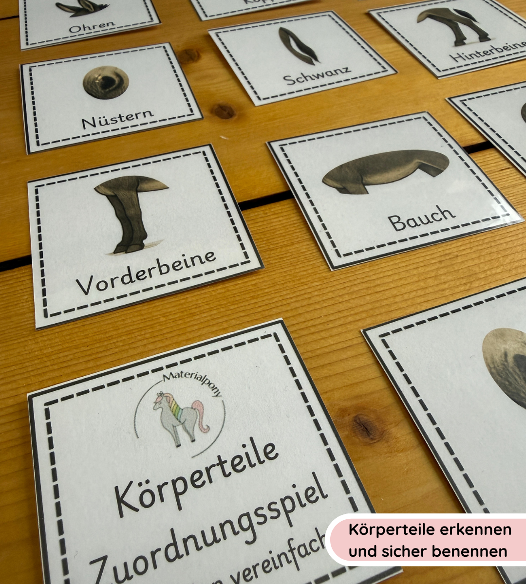 Zuordnungsspiel Eselkörper – Körperteile spielerisch festigen (Kopie)