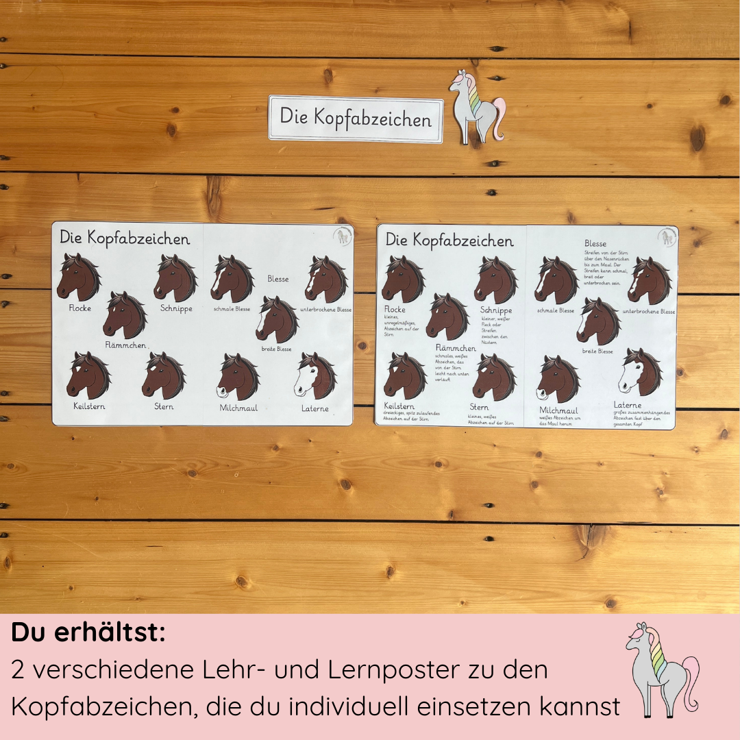 Lehrposter Kopfabzeichen
