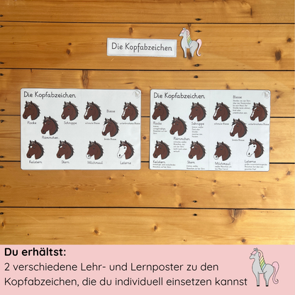 Instructional Poster Head Badges