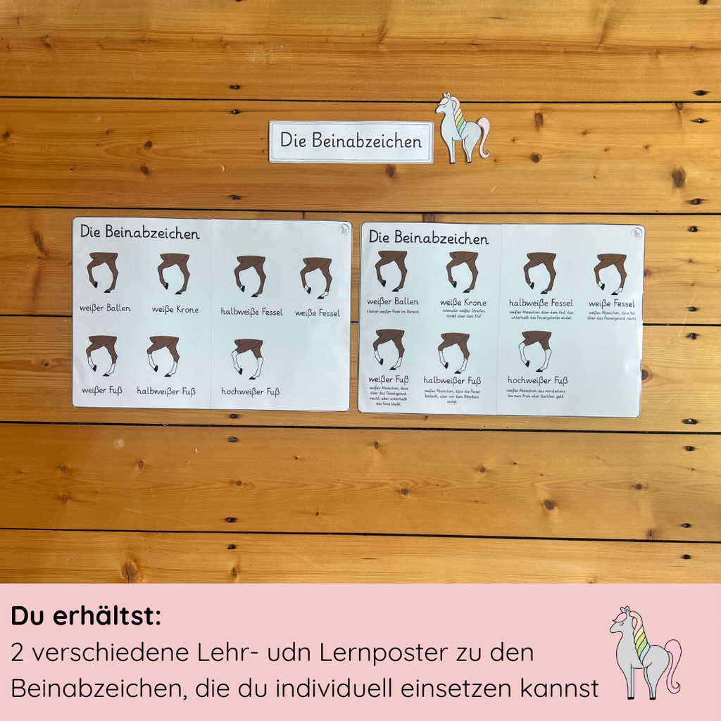 Lehrposter Beinabzeichen