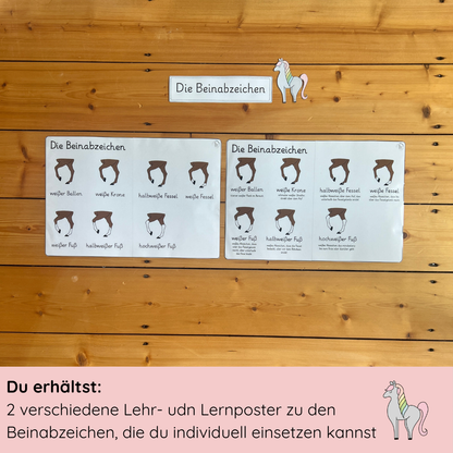 Educational poster leg markings