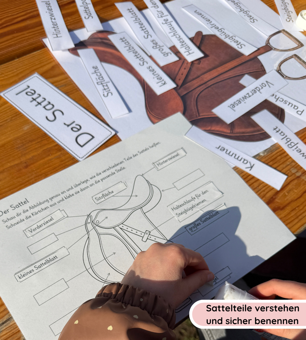 Kindgerechte Arbeitsblätter und Lernposter – Sattel einfach verstehen