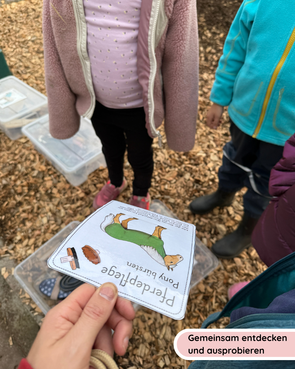 Horse Care Sequence Cards