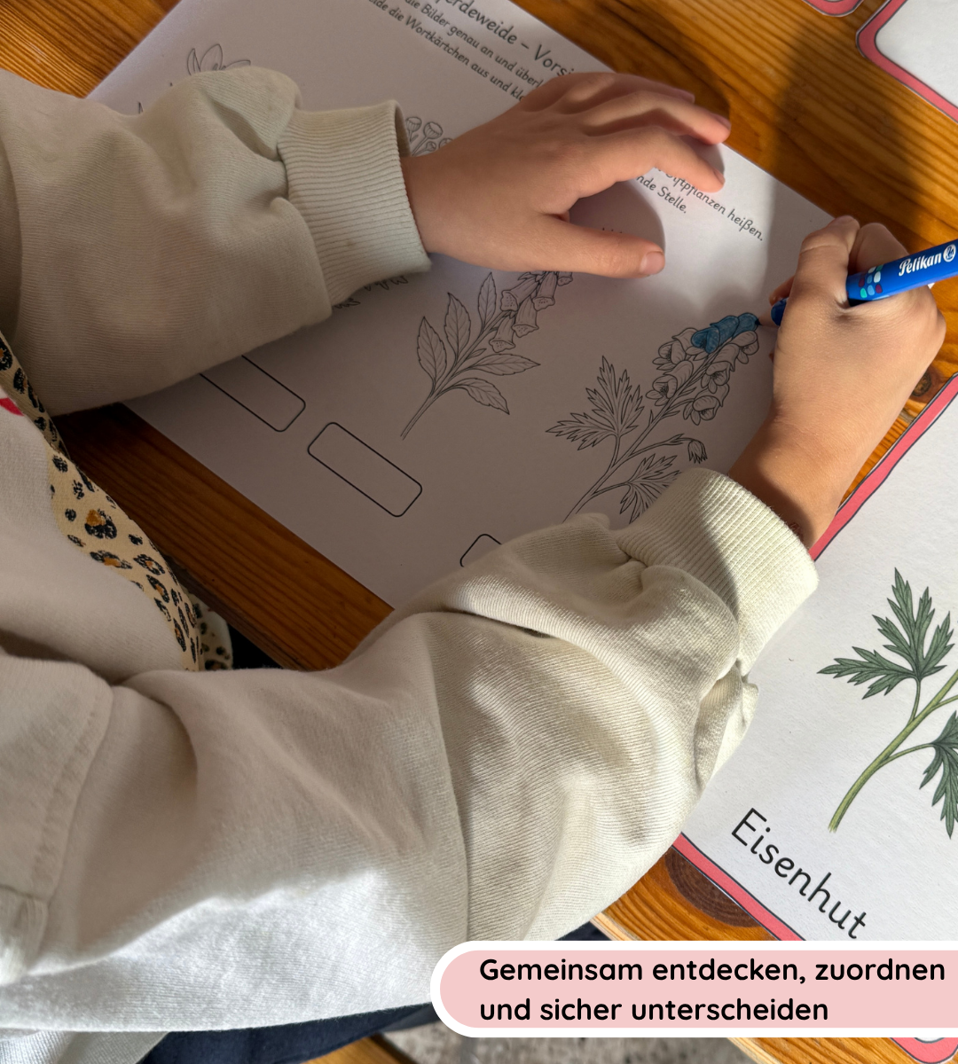 Kindgerechte Arbeitsblätter 1 - Nutz- und Giftpflanzen sicher erkennen und unterscheiden