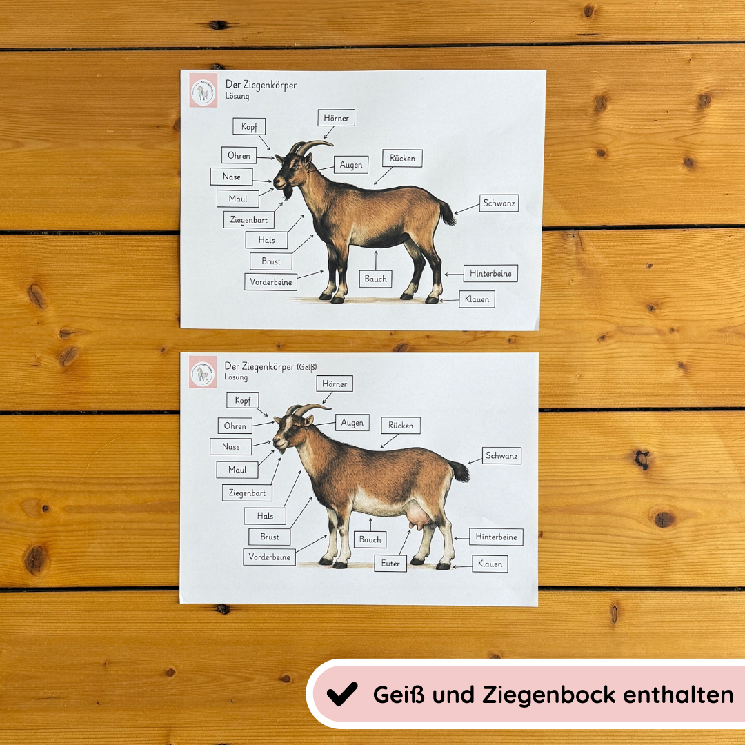 Unser Ziegen-Bundle