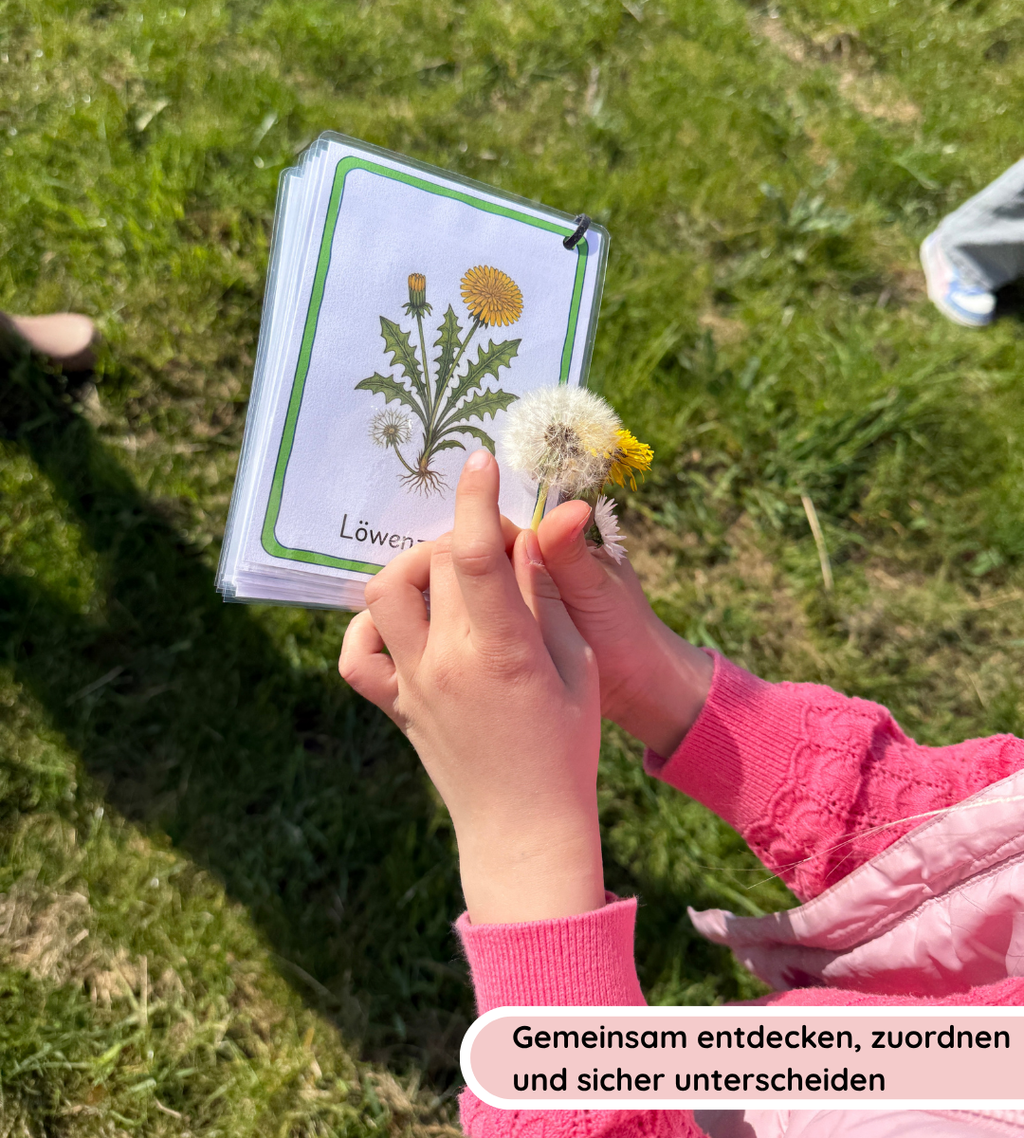 Materialpaket Nutz- und Giftpflamnzen