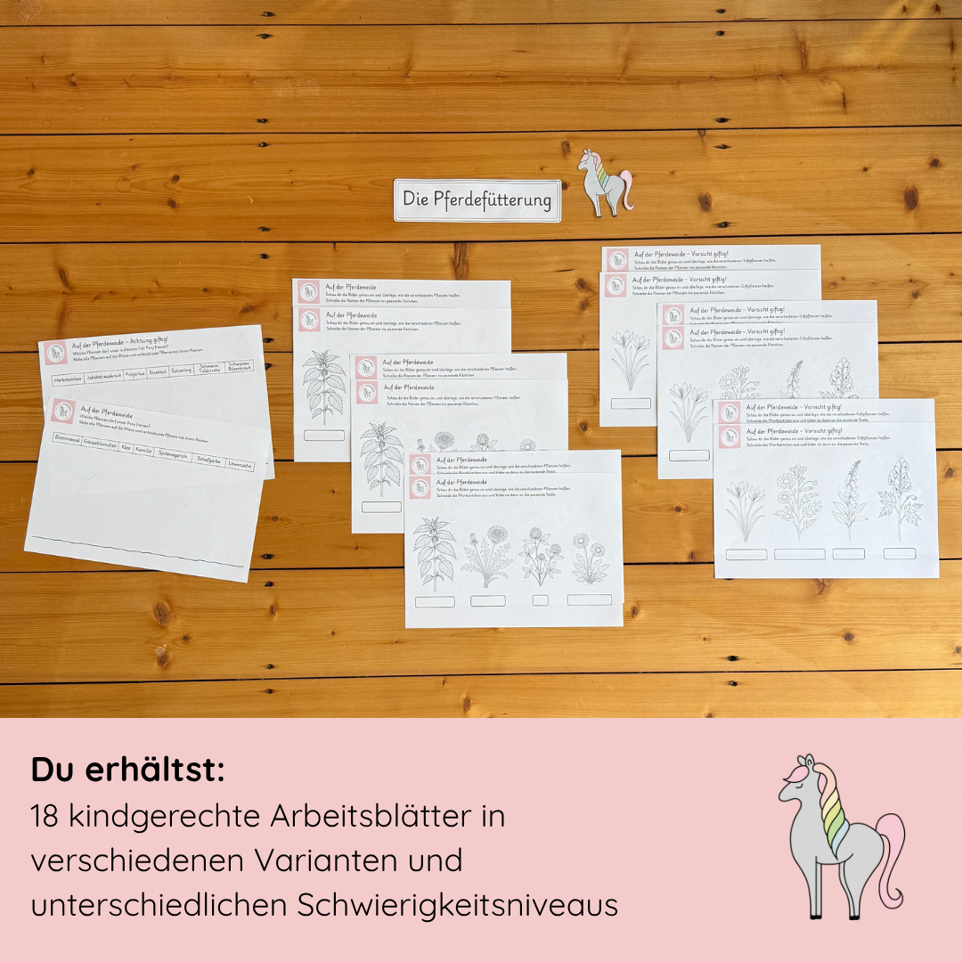 Materialpony - Rundum versorgt
