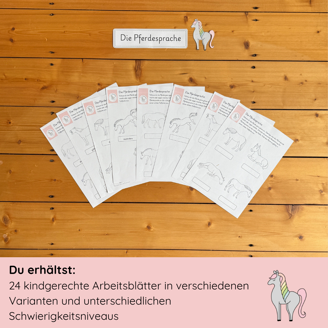 Materialpony - Rundum versorgt