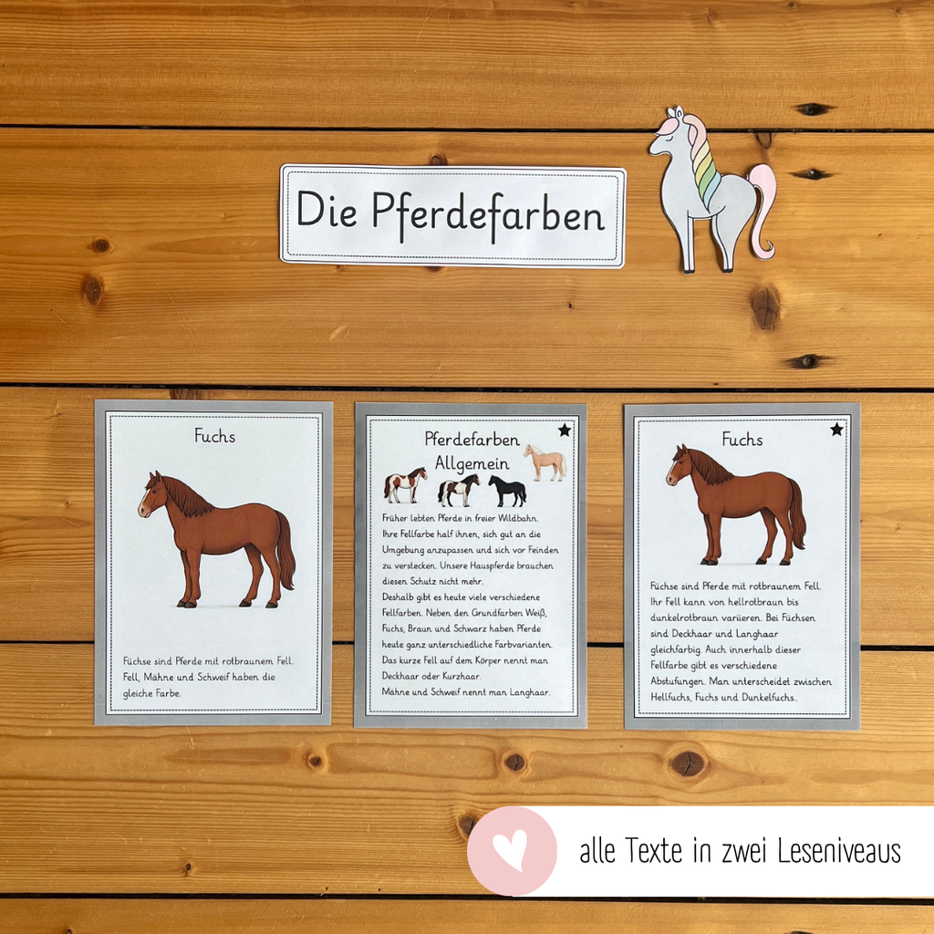 kindgerechte Infotexte Pferdefarben
