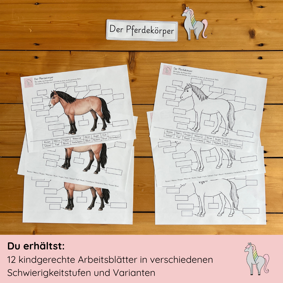 kindgerechte Arbeitsblätter und Lehr- und Lernposter Pferdekörper