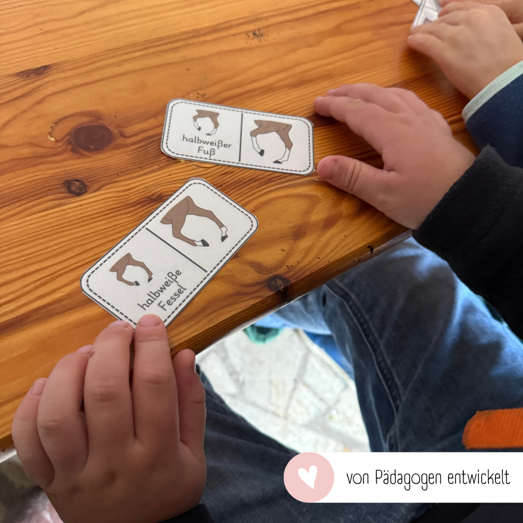 Lerndominos Beinabzeichen