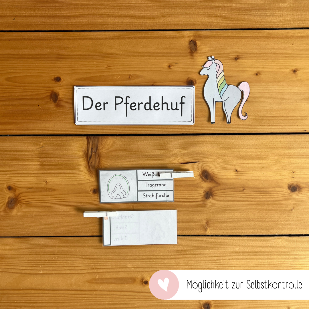 Klammerkarten Pferdehuf