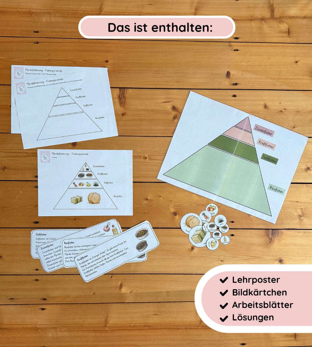 KIndgerechtes Legematerial & Arbeitsblätter - Die Futterpyramide verstehen und sicher anwenden