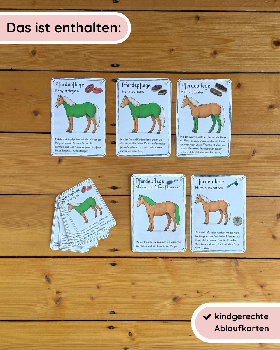 Horse Care Sequence Cards