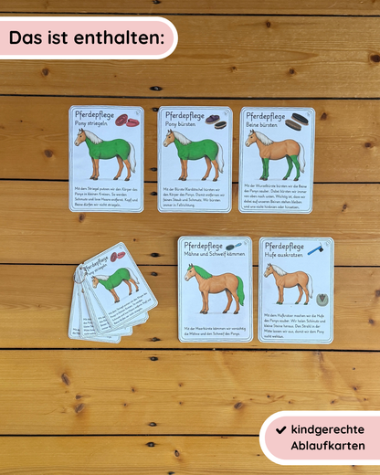 Horse Care Sequence Cards