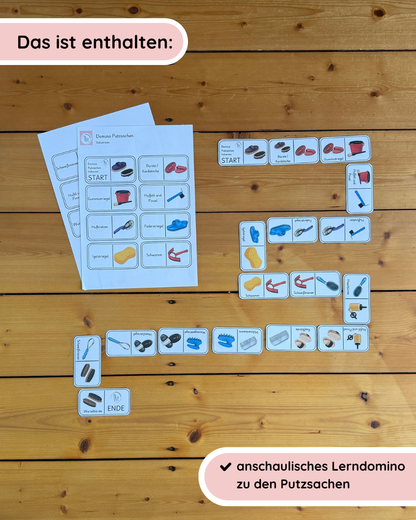 Learning Dominoes: Horse Care